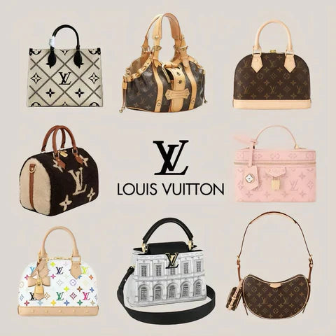 LV Bag