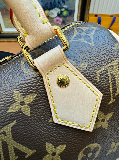 LV Nano Speedy 20cm Brown Monogram Canvas 206009